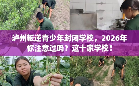 泸州叛逆青少年封闭学校，2026年你注意过吗？这十家学校！