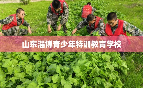山东淄博青少年特训教育学校