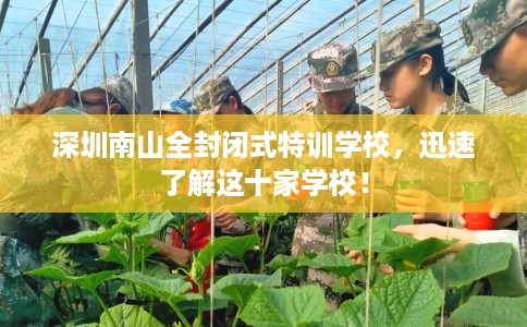 深圳南山全封闭式特训学校，迅速了解这十家学校！