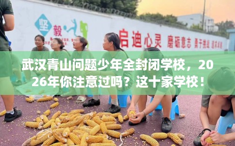 武汉青山问题少年全封闭学校,2026年你注意过吗?这十家学校! 武汉青山问题少年全封闭学校,2026年你注意过吗?这十家学校!
