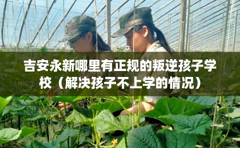 吉安永新哪里有正规的叛逆孩子学校（解决孩子不上学的情况）