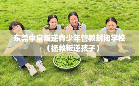 东莞中堂叛逆青少年管教封闭学校（拯救叛逆孩子）