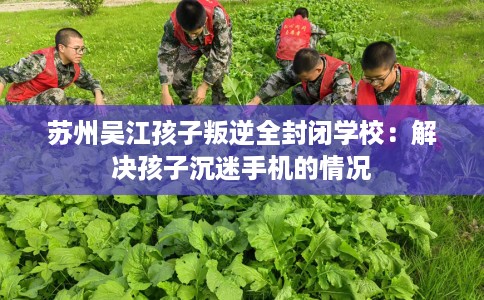 苏州吴江孩子叛逆全封闭学校：解决孩子沉迷手机的情况