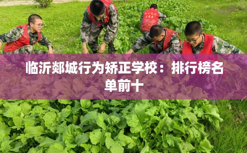 临沂郯城行为矫正学校:排行榜名单前十 临沂郯城行为矫正学校:排行榜名单前十