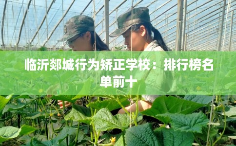 临沂郯城行为矫正学校:排行榜名单前十 临沂郯城行为矫正学校:排行榜名单前十