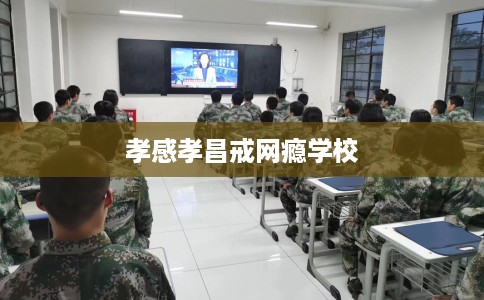 孝感孝昌戒网瘾学校 孝感孝昌戒网瘾学校