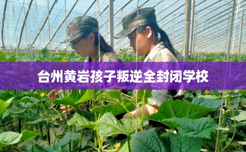 台州黄岩孩子叛逆全封闭学校 台州黄岩孩子叛逆全封闭学校