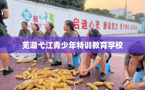 芜湖弋江青少年特训教育学校