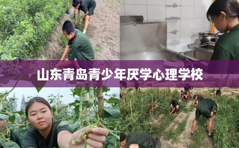 山东青岛青少年厌学心理学校