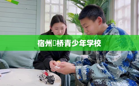 宿州埇桥青少年学校 宿州埇桥青少年学校