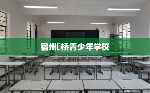 宿州埇桥青少年学校 宿州埇桥青少年学校