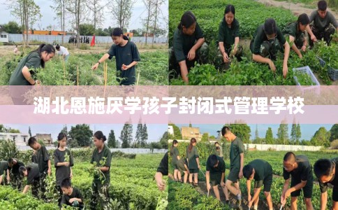 湖北恩施厌学孩子封闭式管理学校 湖北恩施厌学孩子封闭式管理学校