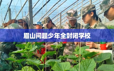 眉山问题少年全封闭学校