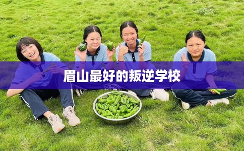 眉山最好的叛逆学校 眉山最好的叛逆学校