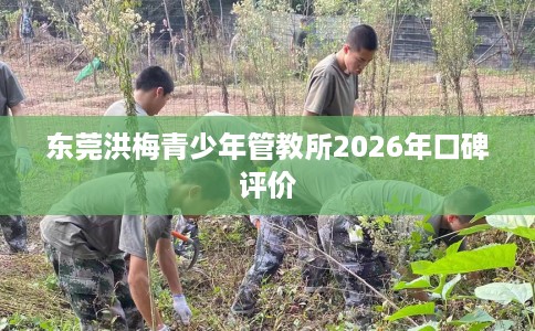 东莞洪梅青少年管教所2026年口碑评价