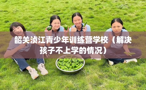 韶关浈江青少年训练营学校（解决孩子不上学的情况）