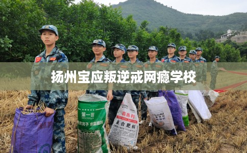 扬州宝应叛逆戒网瘾学校
