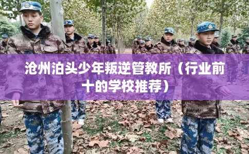 沧州泊头少年叛逆管教所（行业前十的学校推荐）