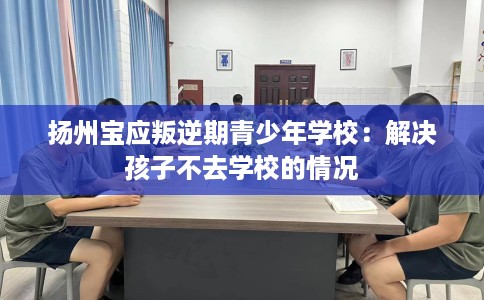 扬州宝应叛逆期青少年学校：解决孩子不去学校的情况