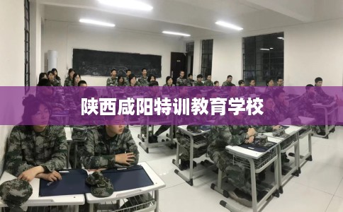 陕西咸阳特训教育学校