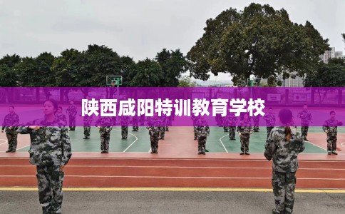 陕西咸阳特训教育学校