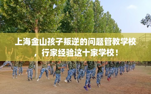 上海金山孩子叛逆的问题管教学校，行家经验这十家学校！