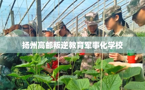 扬州高邮叛逆教育军事化学校