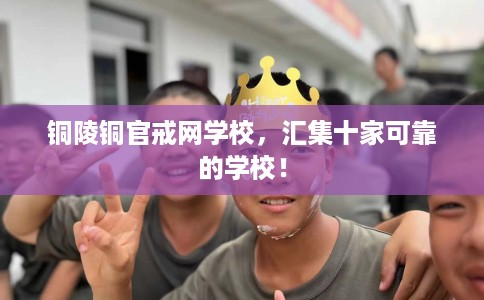 铜陵铜官戒网学校，汇集十家可靠的学校！