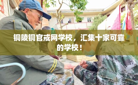 铜陵铜官戒网学校，汇集十家可靠的学校！