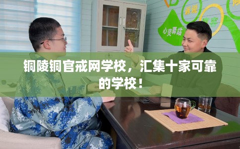 铜陵铜官戒网学校，汇集十家可靠的学校！
