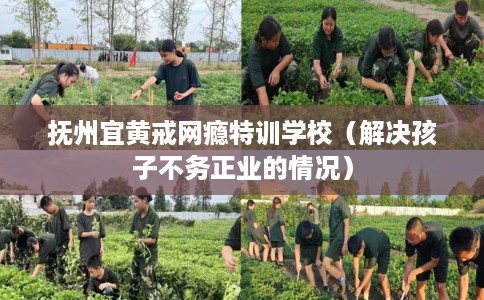 抚州宜黄戒网瘾特训学校（解决孩子不务正业的情况）