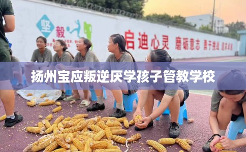 扬州宝应叛逆厌学孩子管教学校