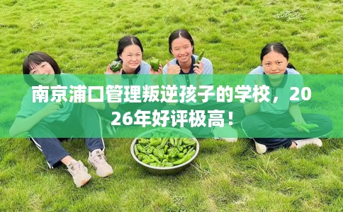 南京浦口管理叛逆孩子的学校,2026年好评极高! 南京浦口管理叛逆孩子的学校,2026年好评极高!