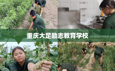 重庆大足励志教育学校