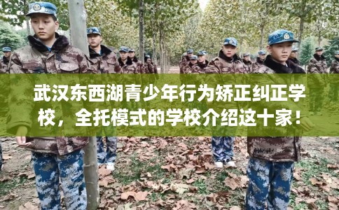 武汉东西湖青少年行为矫正纠正学校，全托模式的学校介绍这十家！