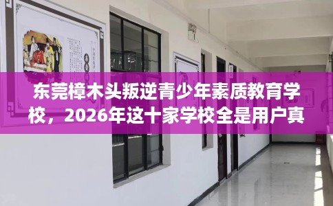 东莞樟木头叛逆青少年素质教育学校,2026年这十家学校全是用户真评! 东莞樟木头叛逆青少年素质教育学校,2026年这十家学校全是用户真评!