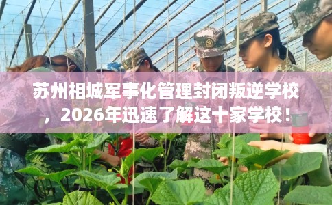 苏州相城军事化管理封闭叛逆学校,2026年迅速了解这十家学校! 苏州相城军事化管理封闭叛逆学校,2026年迅速了解这十家学校!