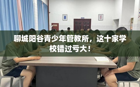 聊城阳谷青少年管教所，这十家学校错过亏大！
