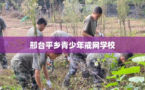 邢台平乡青少年戒网学校