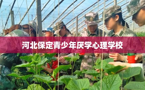 河北保定青少年厌学心理学校
