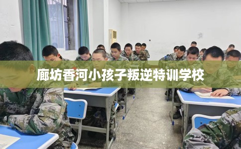 廊坊香河小孩子叛逆特训学校