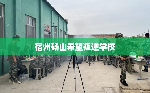 宿州砀山希望叛逆学校