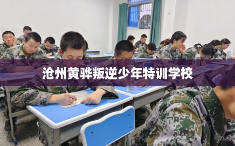 沧州黄骅叛逆少年特训学校