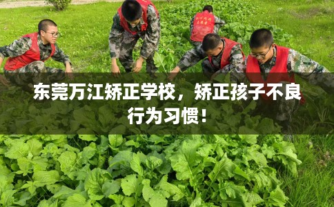 东莞万江矫正学校，矫正孩子不良行为习惯！