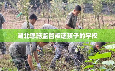 湖北恩施监管叛逆孩子的学校 湖北恩施监管叛逆孩子的学校