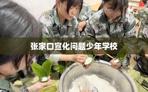 张家口宣化问题少年学校 张家口宣化问题少年学校