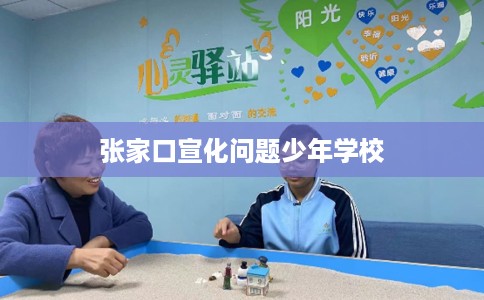 张家口宣化问题少年学校 张家口宣化问题少年学校