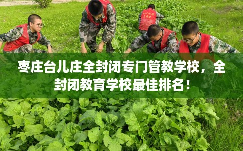 枣庄台儿庄全封闭专门管教学校，全封闭教育学校最佳排名！