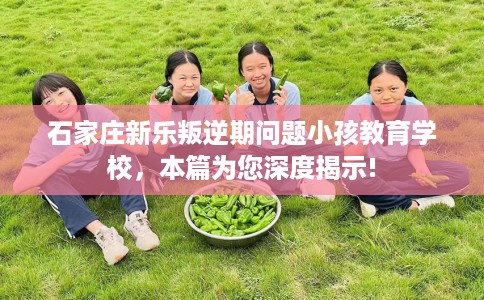 石家庄新乐叛逆期问题小孩教育学校，本篇为您深度揭示!