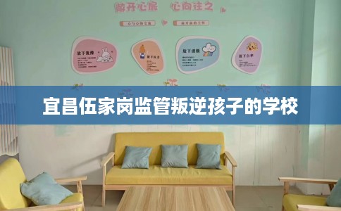 宜昌伍家岗监管叛逆孩子的学校